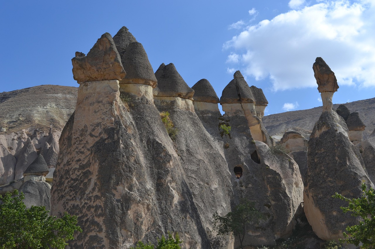 turkey-1224921_1280