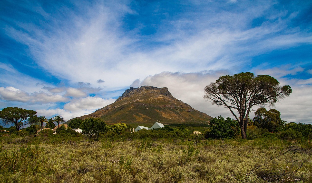 stellenbosch-1855064_1280